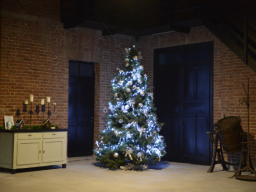 GF-CC-2021-Ritorno-alla-vita